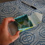 Dsc_2087_thumb