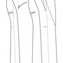 Cf_lng_thumb