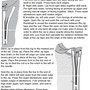 Dressknot6_thumb