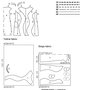 107cuttingdiagram_thumb