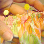 06a887ebd678d17a1dcb48adcc5cf8c0fc7056a1_thumb