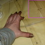7d8215c8af894041fbb64120db6ab8de70b40206_thumb