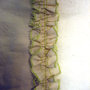 2fc69566171325448aef51324cd599031668e335_thumb