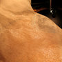 F23ab2871654c6d2e9d95b137931913307e96f78_thumb