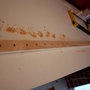 Step_five_thumb