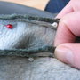 Pics_jan_2010_043_thumb