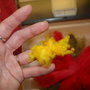 Dsc_0470_thumb