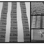 Mosaic10af49cc27031d49208ff7459d6820c0be6abb50_thumb
