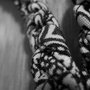 Img_1151_thumb