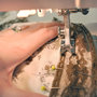 Hem3_thumb