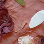 Dscf0010_thumb