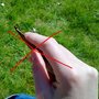 Knitting2_thumb