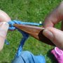 Knitting8_thumb