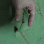 Img_1846_thumb