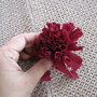 Picresized_1280270457_img_6946_thumb
