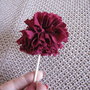 Picresized_1280271534_img_6959_thumb