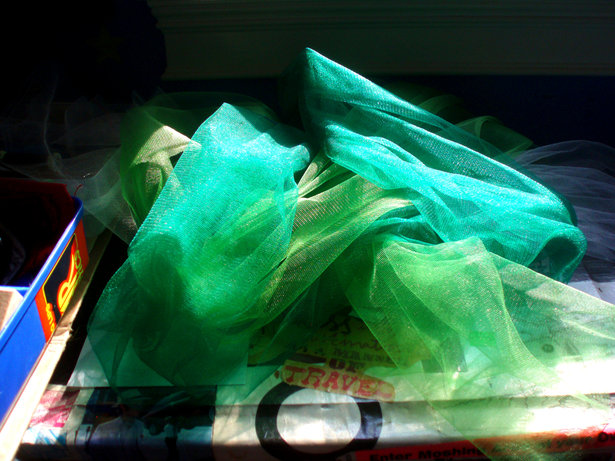 P1013370_large