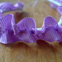 Picresized_1289912382_dsc09769_thumb