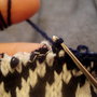 Picresized_1290429018_dsc09797_thumb