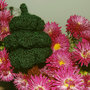 Dsc_0332i_thumb