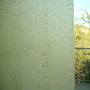 Fscn3657_thumb