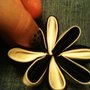 Push_out_petals1_thumb