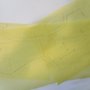 3websam_2316_thumb