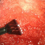 Dye_06_thumb