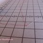 Threadtail_thumb