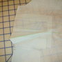 Fscn3684_thumb