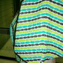 Fscn3993_thumb
