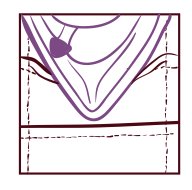 Tucks_4_large