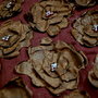 Dsc_0003_thumb