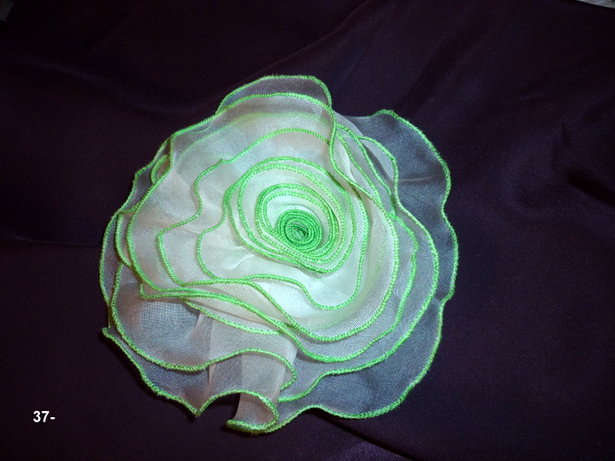 Green_rose_in_the_rainforest_067_large