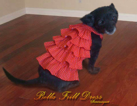 Shopzilla - Dress patterns dogs